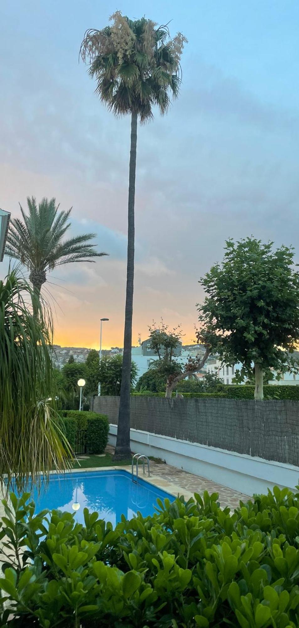 דירות Jávea Casa Ole מראה חיצוני תמונה